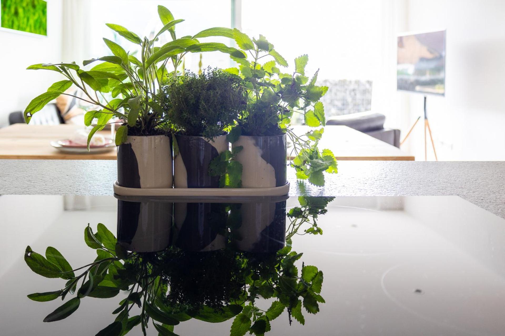 Ferienwohnung Oba'Doba 2 Pfronten Exteriör bild